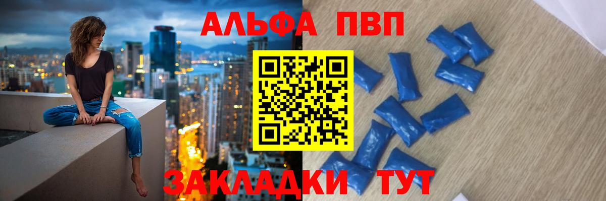 A PVP СК КРИС Брянск