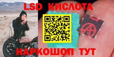 сатива Моздок
