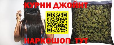 сатива Моздок