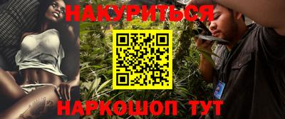 сатива Моздок