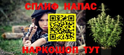 сатива Моздок