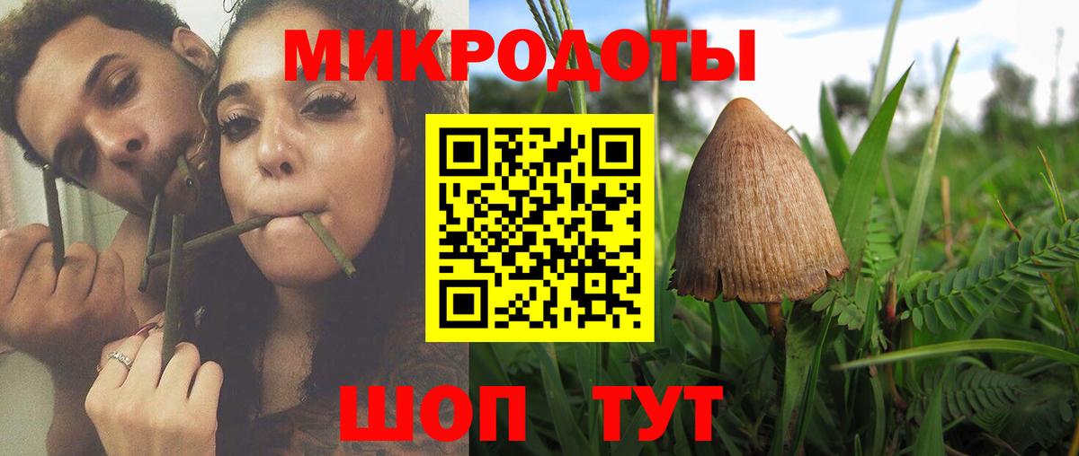 Брянск  Псилоцибиновые грибы Psilocybine cubensis  Вход с VPN 